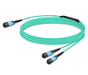 Scheda Tecnica: NVIDIA Passive Fiber Cable, Mmf, Mpo12 APC To 2xmpo12 APC - 20m