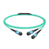 Scheda Tecnica: NVIDIA Passive Fiber Cable, Mmf, Mpo12 APC To 2xmpo12 APC - 7m