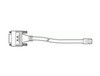 Scheda Tecnica: Cisco Router- Accessori - E1 ISDN PRI Cable, 10 Feet
