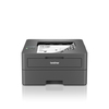 Scheda Tecnica: Brother Hl-l2445dw Black And White A4 Laser Printer 32ppm - 1200 DPI 64m
