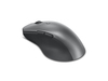 Scheda Tecnica: Lenovo Professional Bluetooth Rechargeable Mouse - 