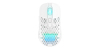 Scheda Tecnica: Cherry Mouse - XTRFY M42 WIRELESS RGB WIRELESS WHITE IN