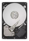 Scheda Tecnica: Lenovo Thinksystem - HDD - Crittografato - 10TB - Hot Swap - 3.5" ff - SAS 12GB,s - N - 7200 RPM -