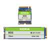 Scheda Tecnica: Kioxia SSD Client BG5 Series M.2 PCIe4.0, NVMe 1.4 - 256GB M.2 2230-S2 Single-sided