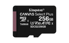 Scheda Tecnica: Kingston Canvas Select Plus - 256GB, microSDXC, Class 10 UHS-I, 3.3 V