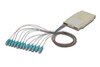 Scheda Tecnica: IC INTRACOM OEM Cassetta Di Giunzione Attrezzata Con 12 - Pigtail Fibra Multimodale Om3 Sc 50/125 2m