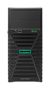 Scheda Tecnica: HPE Ml30 G11 6325p 1x32g 8sff SSD Eu Svr - 