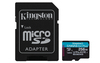 Scheda Tecnica: Kingston Canvas Go! Pus Gen4 256GB Micro-sdxc+ Adap - 