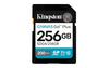 Scheda Tecnica: Kingston Canvas Go! Pus Gen4 256GB Sdxc - 