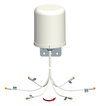Scheda Tecnica: Fortinet Antennas 2.4/5GHz 6dbi Wi-fi Omni Antenna With 6 - N-type Connector