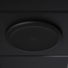 Scheda Tecnica: Cisco Ceiling Microphone Pro Carbon Black - Spare In - 