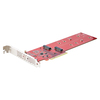 Scheda Tecnica: StarTech ADAttatore PCI Express M.2 NVMe - Scheda - ADAttatore PCIe 4.0 x8 x16 a Doppio SSD M.2 NVMe o