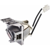 Scheda Tecnica: ViewSonic RLC-116 Replacement Lamp Projector Replacement - 