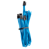 Scheda Tecnica: Corsair Premium Sleeved PCIe - Dual-cable, Doppelpack (gen 4) Bl