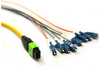 Scheda Tecnica: Cisco Multi-fiber Patchcord Mpo To 8xlc 4m - 