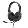 Scheda Tecnica: Trust Hs-250 Over-ear USB Headset - 