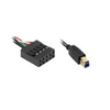Scheda Tecnica: Tandberg USB 3.0 Cable Intern 810mm Connector: 2x10pin To - Type B