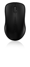 Scheda Tecnica: Rapoo Wless Optical Mouse 1620 Black - 