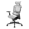 Scheda Tecnica: Sharkoon Sedia Office Fabric Seat Mesh 4d Armrest 5 Heights - Adjustabe Max Weight Capacity 150kg