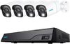 Scheda Tecnica: Reolink Kit Videosorvegianza Nvr PoE 8ch 2TB HDD E 4 - Teecamere Di Sicurezza PoE, Ps2kb02-8