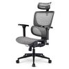 Scheda Tecnica: Sharkoon Sedia Office Fabric Seat Base 4d Armrest 5 Heights - Adjustabe Max Weight Capacityy 150kg