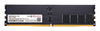 Scheda Tecnica: Transcend 16GB Jm Ddr5 6400 Cudimm 1rx8 2gx8 Cl52 1.1v - 