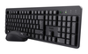 Scheda Tecnica: Trust Bundle Tkm-360 Tastiera + Mouse Wireless - 