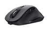 Scheda Tecnica: Trust Mouse Fyda Wireless Eco - 
