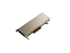 Scheda Tecnica: HPE NVIDIA A2 16GB PCIe-stock . In - 