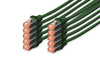 Scheda Tecnica: DIGITUS Confezione 10 LAN Cable Cat.6 S/FTP Schermati - Mt 5 Colore Verde