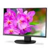 Scheda Tecnica: Sharp /nec Ea241f 24i" Ips Back 1920x1080 1000:1 250cd/qm - Ed