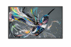 Scheda Tecnica: Philips 55BDL3650QE/00 55" 16:9 3840 X 2160 300cd/m 1200:1 - 8ms HDMI