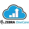 Scheda Tecnica: Zebra 1-day Remote Consultancy And Project Management In - 