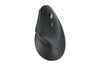 Scheda Tecnica: Kensington Mouse MY630 EQ WIRELESS ERGO (RECHARGEABLE) IN - 