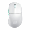 Scheda Tecnica: Cherry Mouse M64 WIRELESS WHITE WIRELESS IN - 