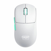 Scheda Tecnica: Cherry Mouse M68 WIRELESS WHITE WIRELESS IN - 