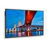 Scheda Tecnica: Sharp/NEC M651-2 65 ", IPS, 16:9, 3840 x 2160, 60Hz, 8 ms - 500 cd/m2