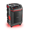Scheda Tecnica: NGS WILD BASH: Altoparlante Premium Portatile Da 300w - Compatibile Con Tecnologia Bluetooth/USB,aux