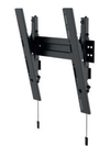 Scheda Tecnica: HAGOR Bl Superslim Tilt 400 Wall Bracket F/ 32-55" Displays - 