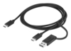 Scheda Tecnica: EPOS USB-c To USB-c Cable - With Adapter To USB-a