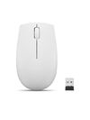 Scheda Tecnica: Lenovo Mouse 300 Wireless ?Grey Ambidextrous Rf Wireless - Optical 1000 Dpi