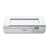 Scheda Tecnica: Epson Scanner WORKFORCE DS-50000N A3 / USB , 4 Sec/page - 2/300dpi