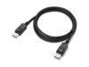 Scheda Tecnica: Lenovo Displport To Displport 1.4 Cable 1.8m - 