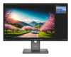 Scheda Tecnica: Lenovo P32ud-40 31.5" 38402160 Ips 350cd/m L/t/p/s Enet In - 