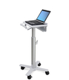 Scheda Tecnica: Ergotron Carrello Laptop Styleview Carrello Portatile - Workstation Scrivania Sit Stand Trolley Carrello Medicale R