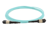 Scheda Tecnica: Cisco Cable Mpo12-mpo12 - Trunk Cable Type B Mmf 5m