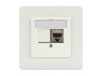 Scheda Tecnica: DIGITUS DN-93832 Face plate for Keystone Modules, straight - 50x50 central plate, 80x80 frame, 2xkeystone