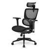 Scheda Tecnica: Sharkoon Sedia Office Fabric Seat Base 3d Armrest Headrest - 5 Heights Adjustable Max Weight Capaci