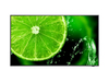 Scheda Tecnica: Sharp/NEC E328-2 LCD 32" Essential Large Format Display - 16/7, 1920x1080, 400cd/m