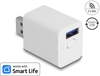 Scheda Tecnica: Delock Wlan Easy-USB Switch Smart Life - Alexa compatibile